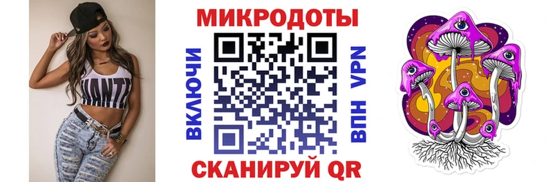 Псилоцибиновые грибы мицелий  mega маркетплейс  Камень-на-Оби  купить  сайты 
